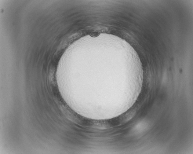 X0000052580185200507292041