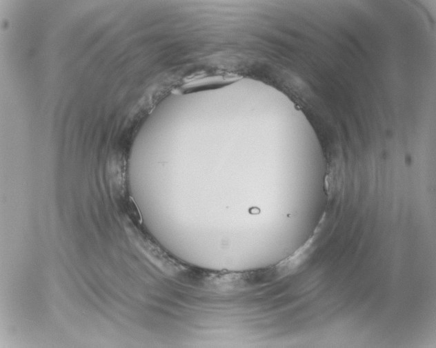 X0000052580186200507292041