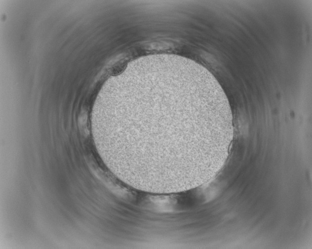 X0000052580187200507292041