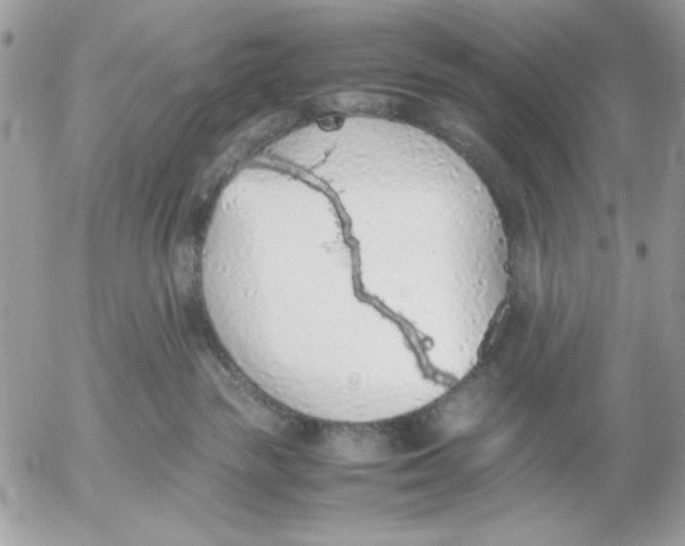 X0000052580189200507292041