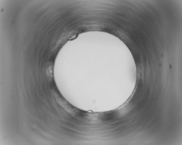 X0000052580190200507292041