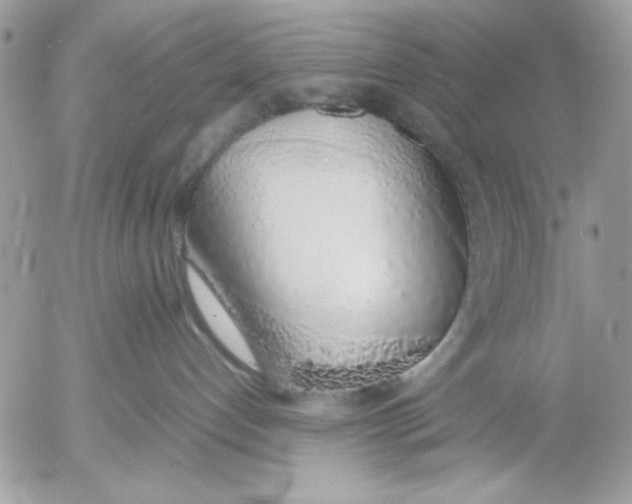 X0000052580192200507292041