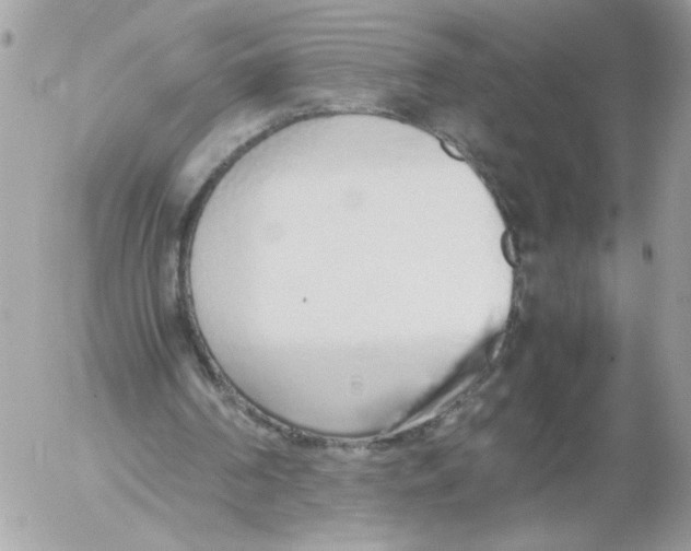 X0000052580194200507292040