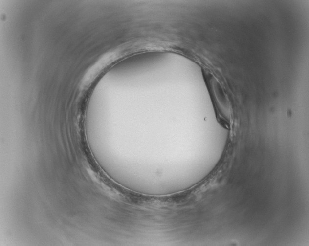 X0000052580197200507292040