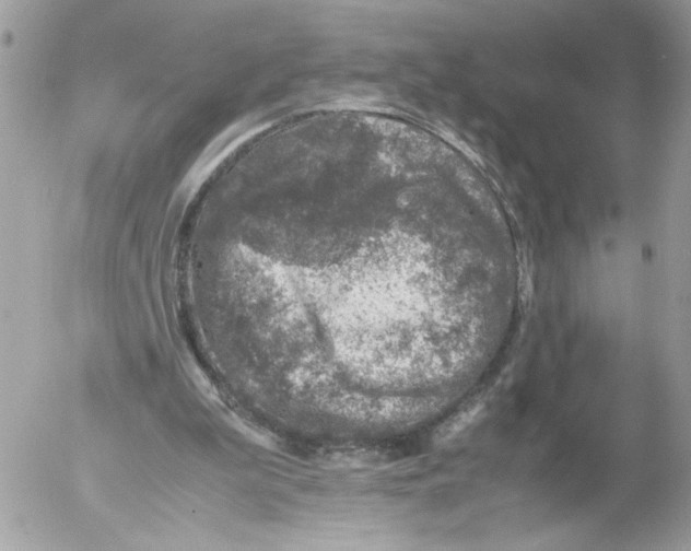 X0000052580199200507292040