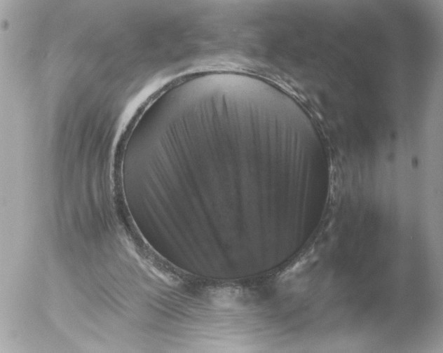 X0000052580200200507292040