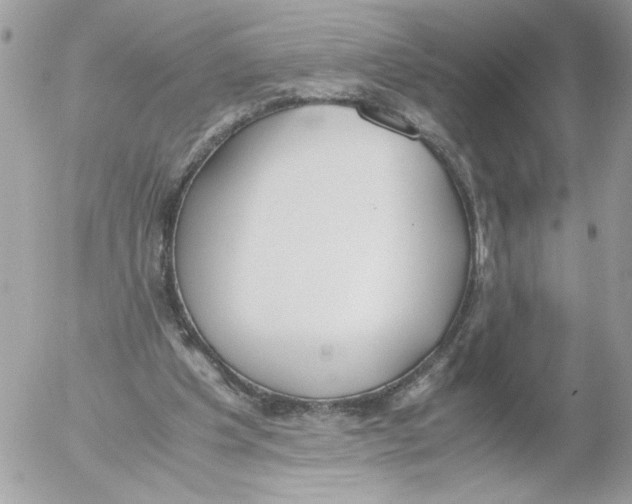 X0000052580201200507292040