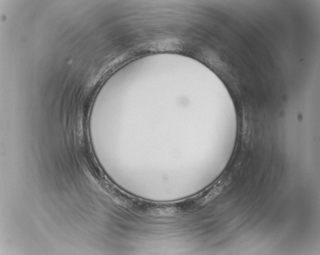 X0000052580202200507292040