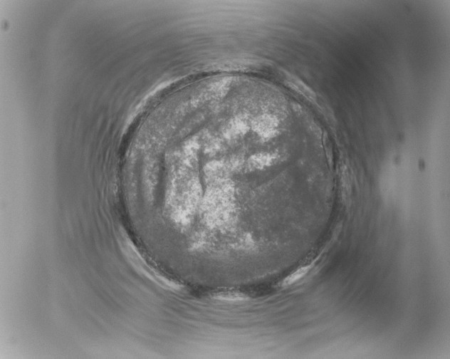 X0000052580203200507292040