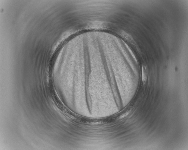 X0000052580204200507292040