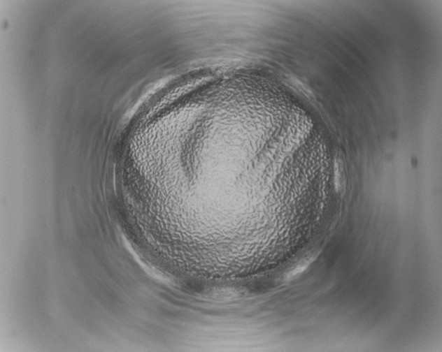 X0000052580205200507292040