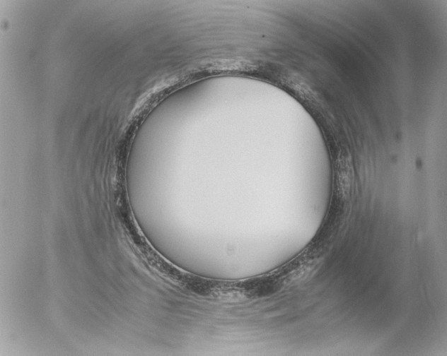 X0000052580207200507292040