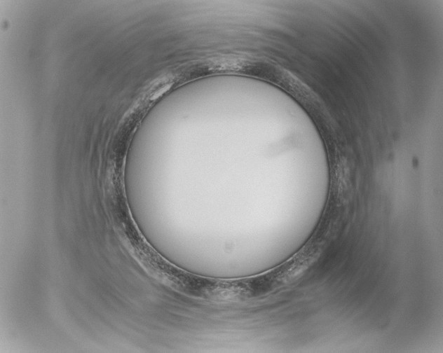 X0000052580209200507292040