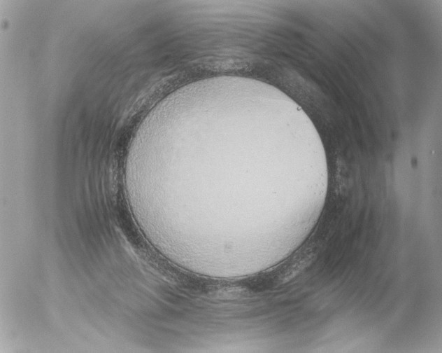 X0000052580210200507292040