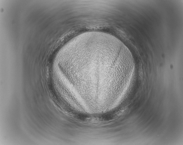 X0000052580211200507292040