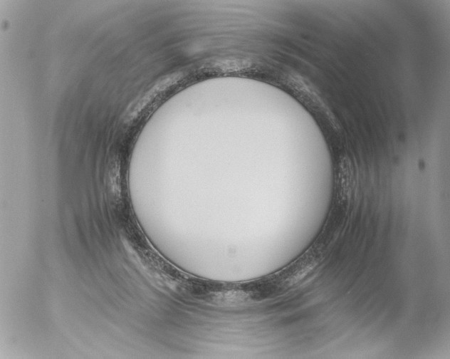 X0000052580212200507292040