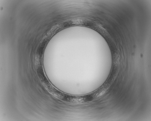 X0000052580213200507292040