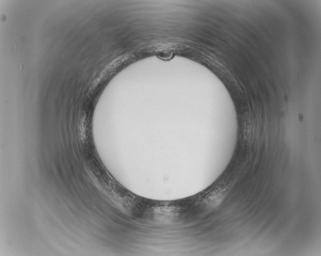 X0000052580216200507292040