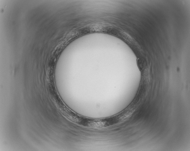 X0000052580217200507292040