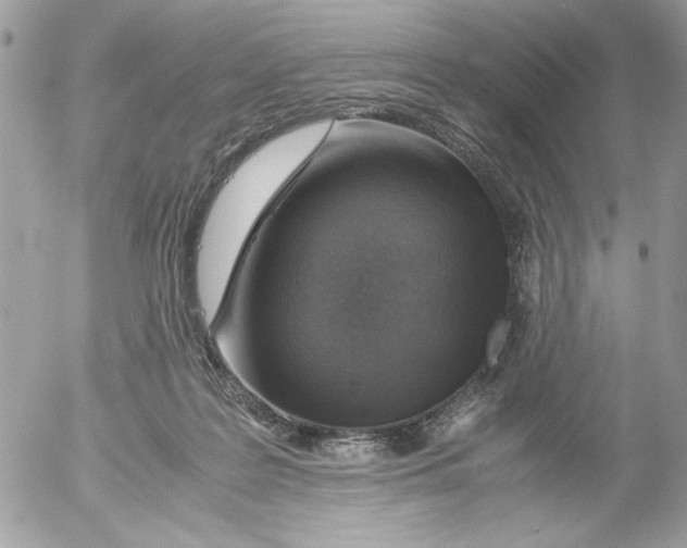 X0000052580219200507292040