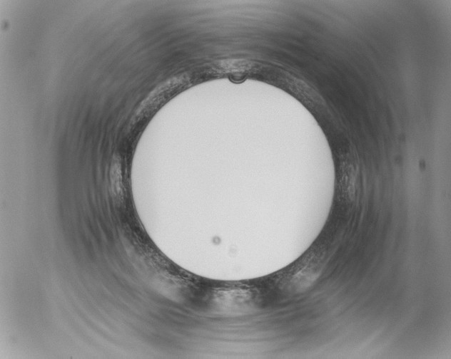 X0000052580220200507292040