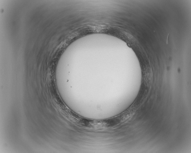 X0000052580221200507292040