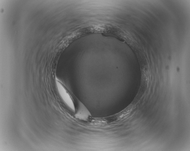 X0000052580223200507292040