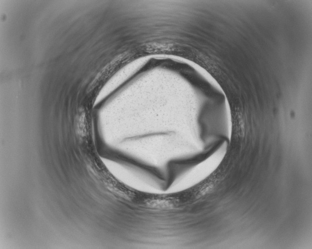 X0000052580224200507292040