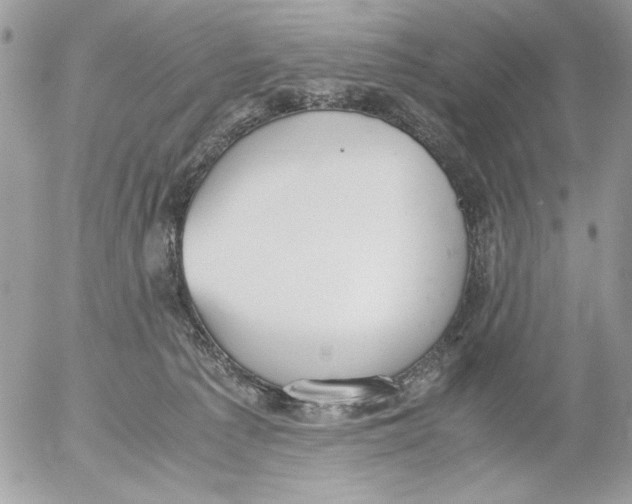 X0000052580225200507292040