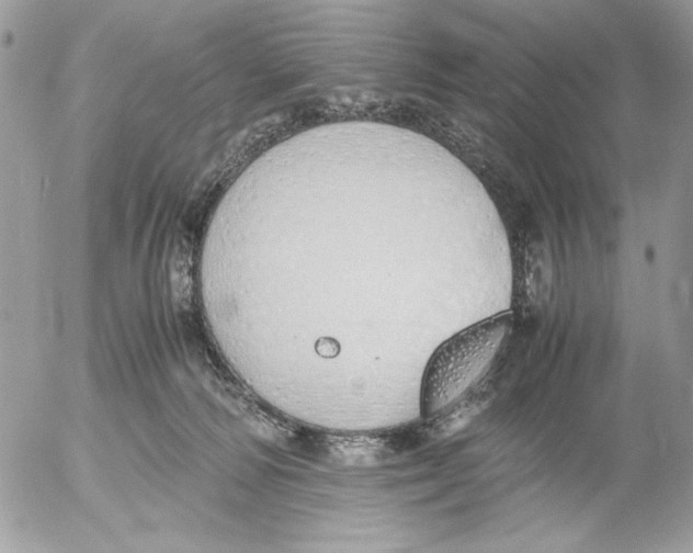 X0000052580226200507292040