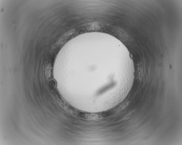 X0000052580230200507292040