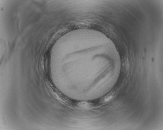 X0000052580231200507292040