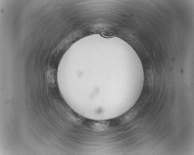 X0000052580232200507292040