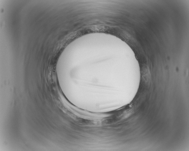 X0000052580233200507292040