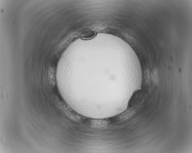 X0000052580234200507292040