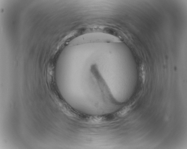 X0000052580235200507292040