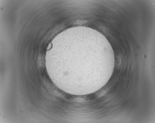 X0000052580236200507292040