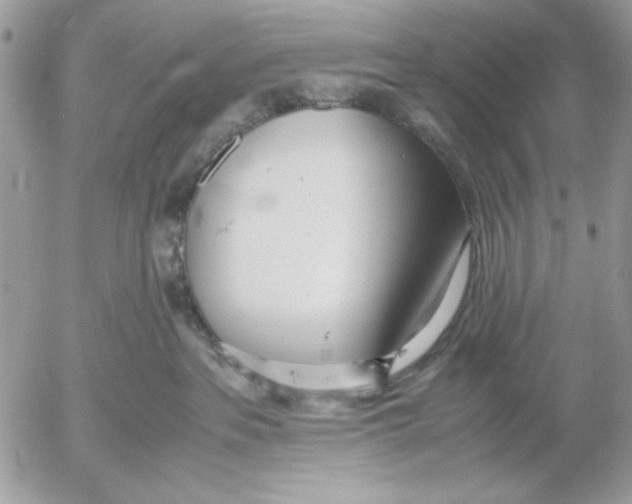 X0000052580237200507292040