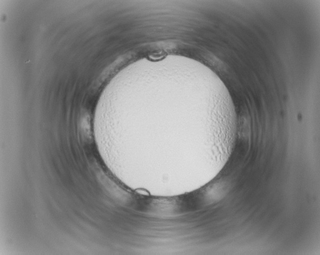 X0000052580238200507292040