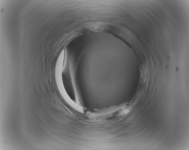 X0000052580239200507292040