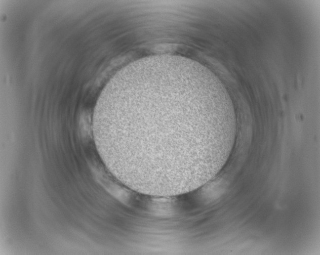 X0000052580240200507292040