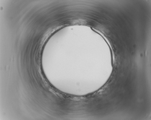 X0000052580241200507292039