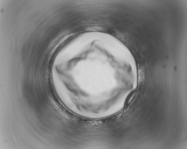 X0000052580243200507292039