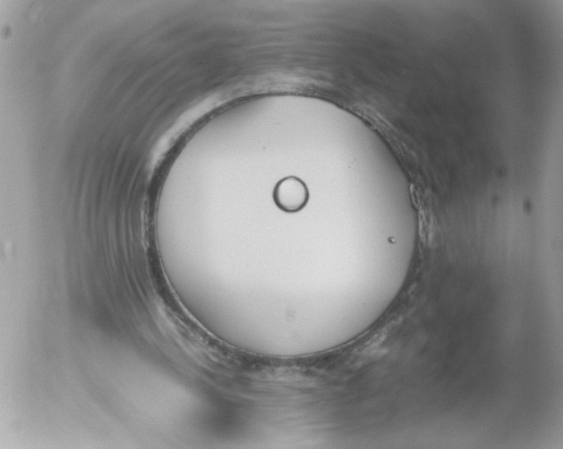 X0000052580244200507292039