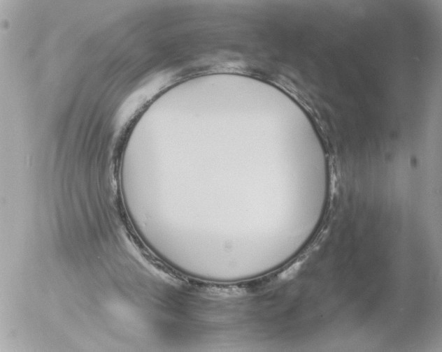 X0000052580245200507292039