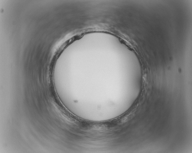 X0000052580248200507292039