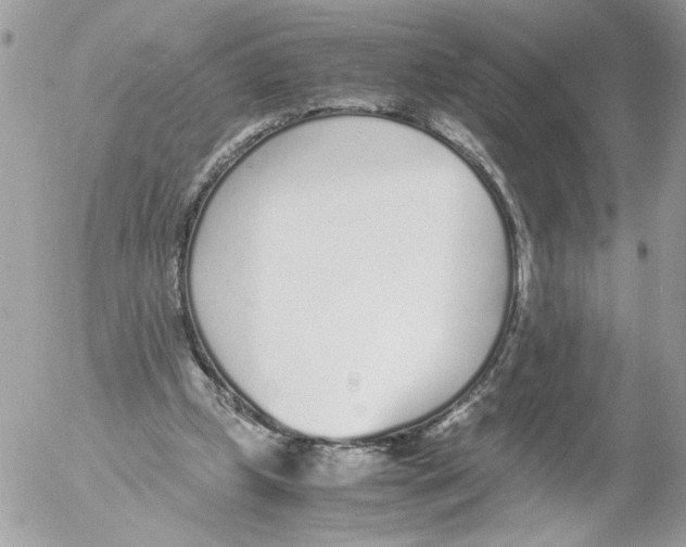 X0000052580249200507292039