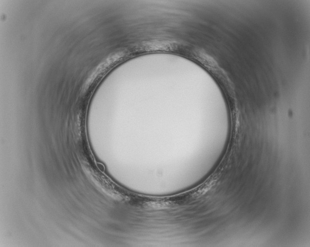 X0000052580250200507292039