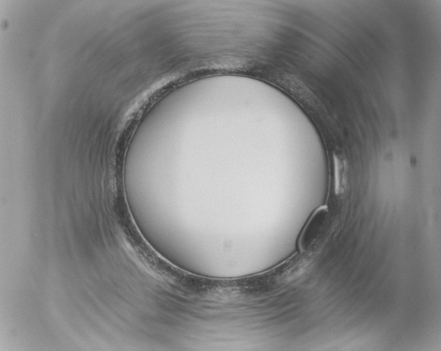 X0000052580252200507292039