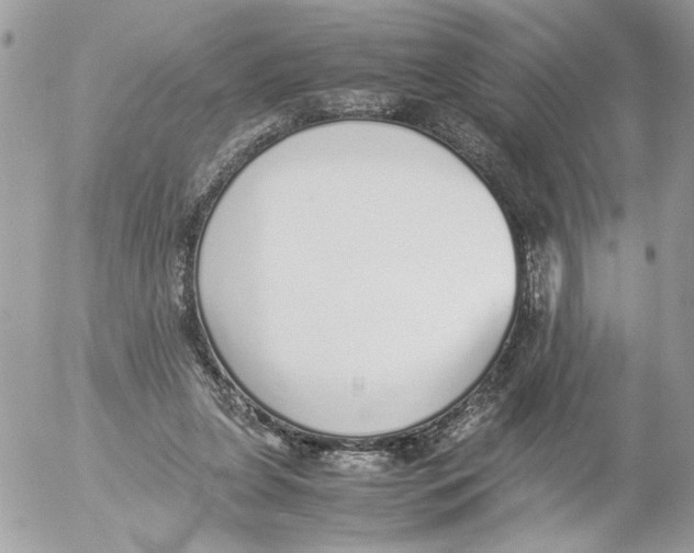 X0000052580255200507292039